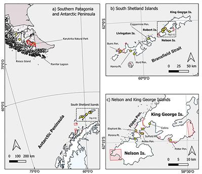 Genetic Approach on Sanionia uncinata (Hedw.) Loeske to Evaluate Representativeness of in situ Conservation Areas Among Protected and Neighboring Free Access Areas in Maritime Antarctica and Southern Patagonia